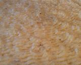 A picture of step 31 of Meat and Potato Pie (Pastel de Papas).