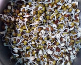 முளை கட்டிய பச்சை பயிறு இட்லி ரெசிபி ஸ்டேப் 1 புகைப்படம்