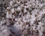 صورة لخطوة 5 من وصفة الكشري المصري الاصيل 😋