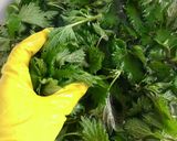 Hình bước làm 1 của món 🌱 Canh Rau Tầm Ma Nấm Mỡ (Vegan)
