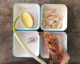 MPASI 1 Tahun KeatasSup Bening Udang langkah memasak 1 foto