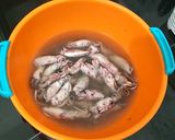 Foto langkah ke 1 dari resep Tumis Cumi Asin.