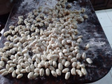 Ñoquis tradicionales (muy blanditos)