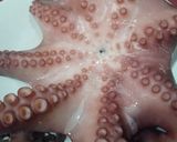Foto del paso 1 de la receta Pulpo a feira sobre parmentier de patata y lechuga de alga