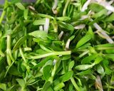 Hình bước làm 1 của món Bò xào giá và rau đắng