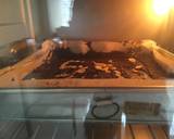 AvocadoBrownies SL #BrowniesAlpukat langkah memasak 8 foto
