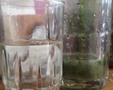 Foto del paso 4 de la receta: Mojito 🍹