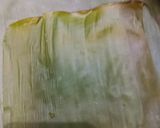 Foto langkah ke 5 dari resep Botok Lamtoro Tahu Tempe.