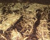 Foto langkah ke 6 dari resep Cake pisang coklat simple.