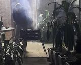 Foto del paso 8 de la receta: Asadito de festejo