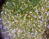 A picture of step 1 of Moong dal Cheela.