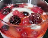 Foto del paso 8 de la receta: Gelee de frutos rojos y fresas con yogur griego