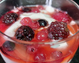 Foto del paso 8 de la receta: Gelee de frutos rojos y fresas con yogur griego