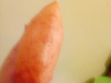 سفنج