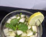Fruit mint lemonade recipe step 1 photo
