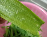 Foto langkah ke 3 dari resep Peyek Daun Bawang.