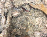 Foto del paso 5 de la receta: 437. Conejo guisado con salsa de foie y coñac (principal carne)