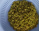 Foto langkah ke 1 dari resep Sari kacang hijau.