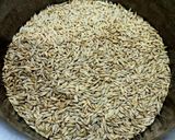 A picture of step 1 of Barley Roti.