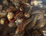 Foto del paso 5 de la receta: Arroz con conejo