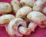 Foto langkah ke 1 dari resep Jamur Kancing Saus Tiram.