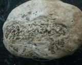 Foto del paso 12 de la receta Pan sin amasado