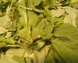 Foto langkah ke 1 dari resep Sayur Bayam Jagung Bening.
