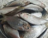 Foto langkah ke 1 dari resep Ikan Selangat Goreng Crispy.