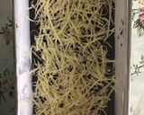 Foto langkah ke 5 dari resep Brownies klasik.