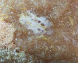 Foto del passaggio 3 della ricetta Mascherine di carnevale senza uova