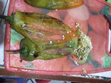 Chiles rellenos de agua con quesillo