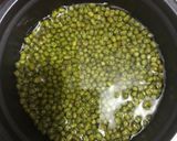 Foto langkah ke 1 dari resep Bubur Kacang Hijau Organik (fiber creme).