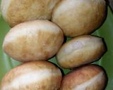 Foto langkah ke 6 dari resep Bombolin Simpel.