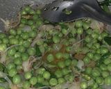 A picture of step 3 of Cabbage green peas dry curry.