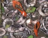 Foto langkah ke 6 dari resep Cumi hitam pedass maknyus.