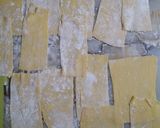 Foto del paso 4 de la receta: Lasagna de jamón/ queso y salsa blanca