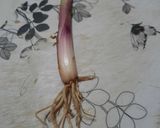 Foto del paso 4 de la receta: Cebolla de verdeo con papines y huevo