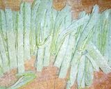 Foto del paso 10 de la receta: Fideos verdes muy verdes