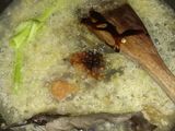 Telur puyuh bumbu kecap ala sundukan angkringan