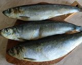Hering balkáni módon recept fázis 1 fotója