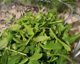 Foto del paso 1 de la receta: Ensalada picante