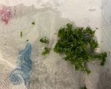 Une image de l'étape 6 de Filets de lieu jaune au poivron vert, persil et citron.