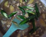 Foto langkah ke 3 dari resep Ayam Teriyaki Cabe Ijo.