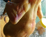 Foto del paso 1 de la receta: Tajine de pollo con Mango