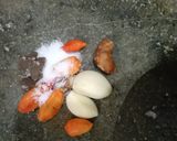 Foto langkah ke 2 dari resep Karedok leunca.