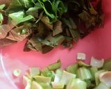 Foto langkah ke 1 dari resep Tumis Pakcoy Rebon.