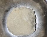 Foto langkah ke 6 dari resep Ciabatta Bread (Italia).