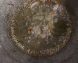 A picture of step 4 of Bottle gourd chutney.