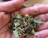 Foto del paso 1 de la receta: Infusión de hierbas con leche
