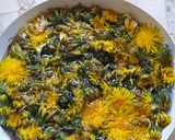 Foto del paso 1 de la receta: Miel  Vegana Con Flores Diente De León